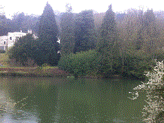 PEG 49 Pictures
